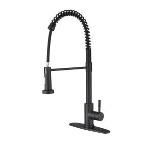 Pull down Single Handle Spring Kitchen Faucet